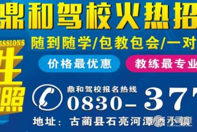 淄川司機招聘信息詳解，應(yīng)聘指南與步驟全解析