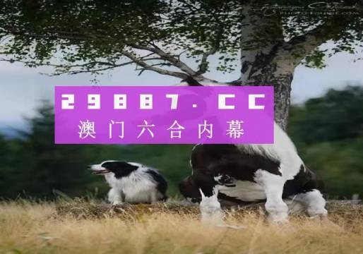 辦公設(shè)備租賃服務(wù) 第219頁