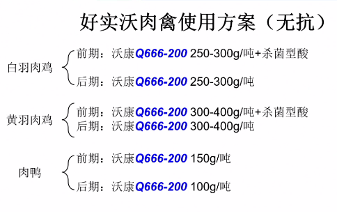 ＂7777788888精準(zhǔn)跑狗圖＂的：高效計(jì)劃實(shí)施_高清晰度版2.78