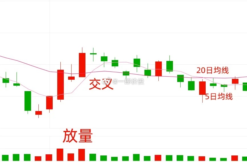 股票叉叉，投資新策略還是風險博弈？
