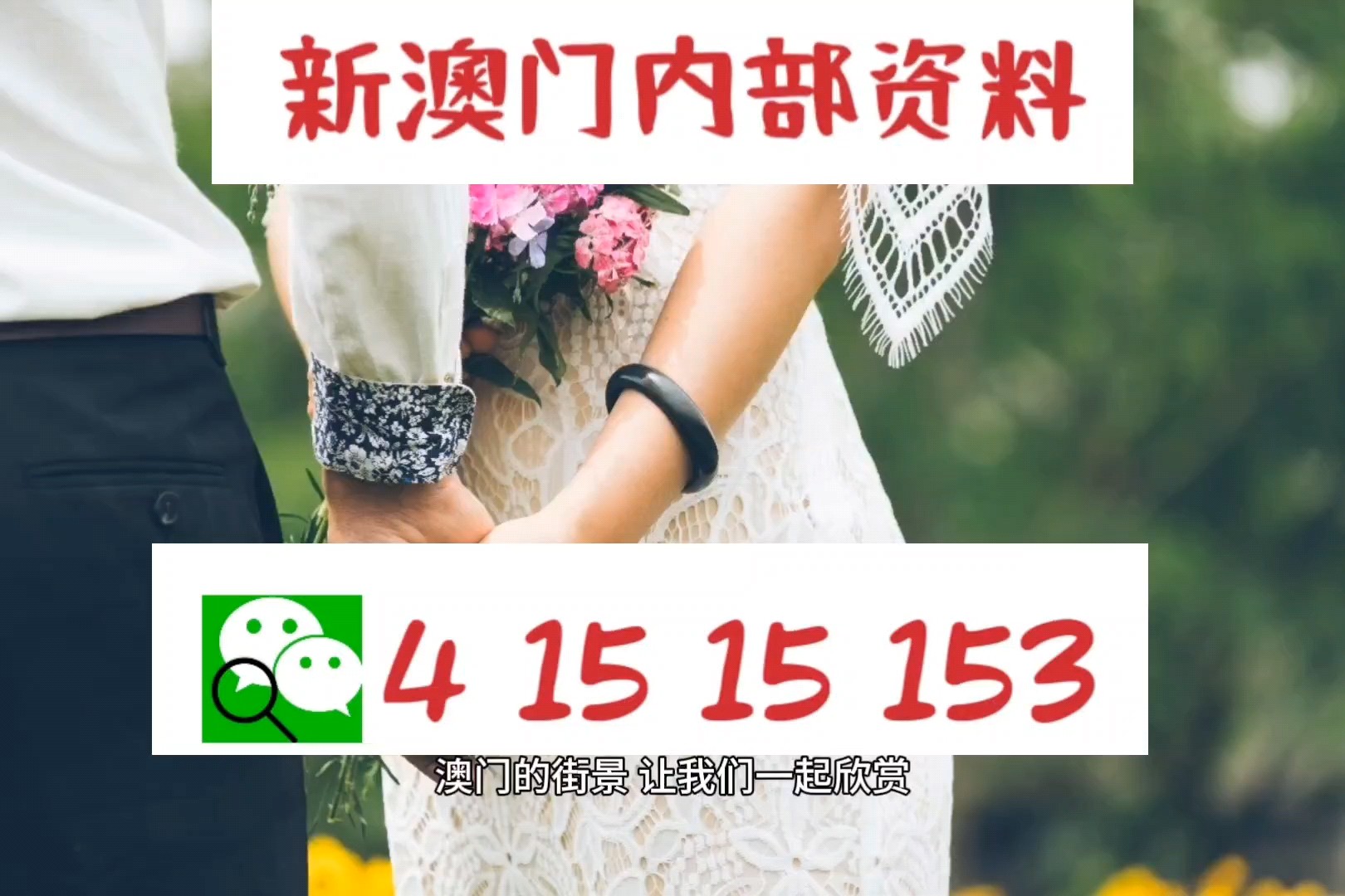 ＂今晚澳門碼特開什么號(hào)碼＂的：數(shù)據(jù)詳解說明_性能版9.79