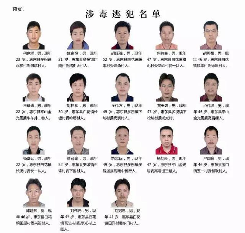 惠州最新通緝公告,惠州最新通緝公告，追逐變化，自信成就未來