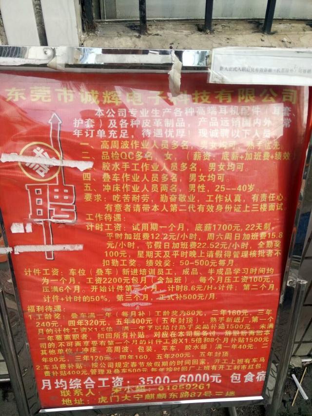 洪瀨最新招聘論壇，人才招聘的新視角與熱議話題
