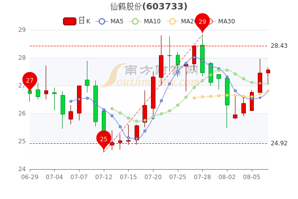 仙鶴股份股票行情，小巷深處的投資寶藏揭秘