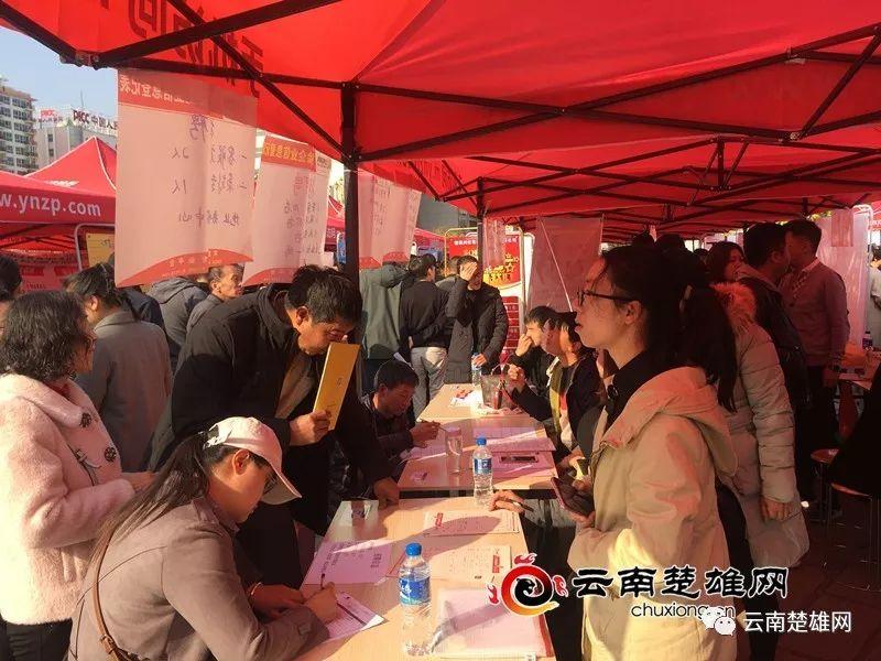 東鄉(xiāng)縣最新招聘資訊，職業(yè)發(fā)展的理想選擇地，尋找人才與機(jī)遇的交匯點(diǎn)