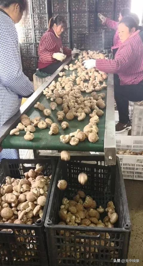 中脈上市指南，詳細步驟帶你了解中脈上市之路