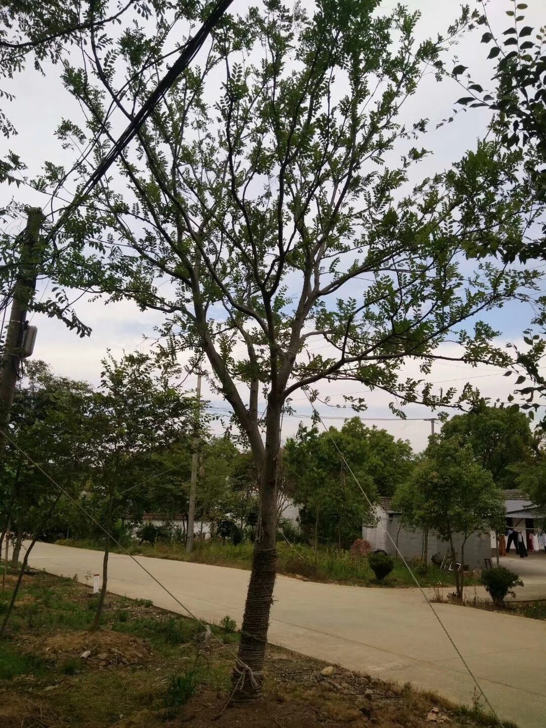 辦公設(shè)備耗材銷售 第60頁