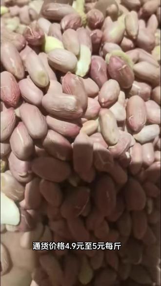 帶殼花生最新批發(fā)價(jià)格，變化中學(xué)習(xí)，成就自信與夢(mèng)想之路