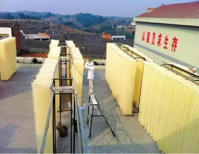 成宜高速公路最新動態(tài)，建設(shè)進展、特色亮點及未來展望
