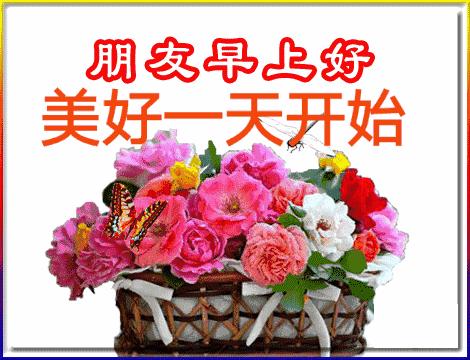 五福碰胡最新版下載，變化、學(xué)習(xí)與自信的力量之源