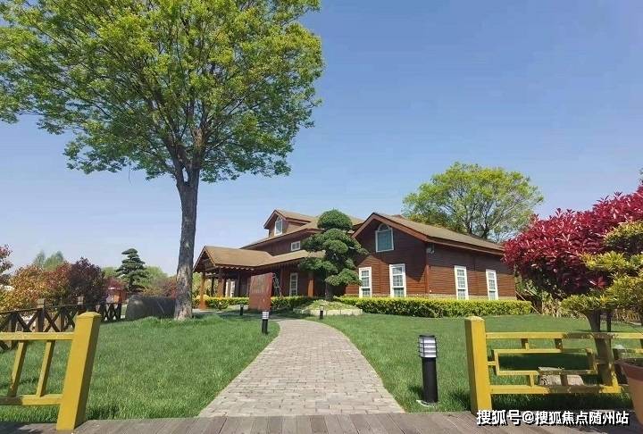 變化中的學(xué)習(xí)之旅，中澤純境最新消息與自信成就之源