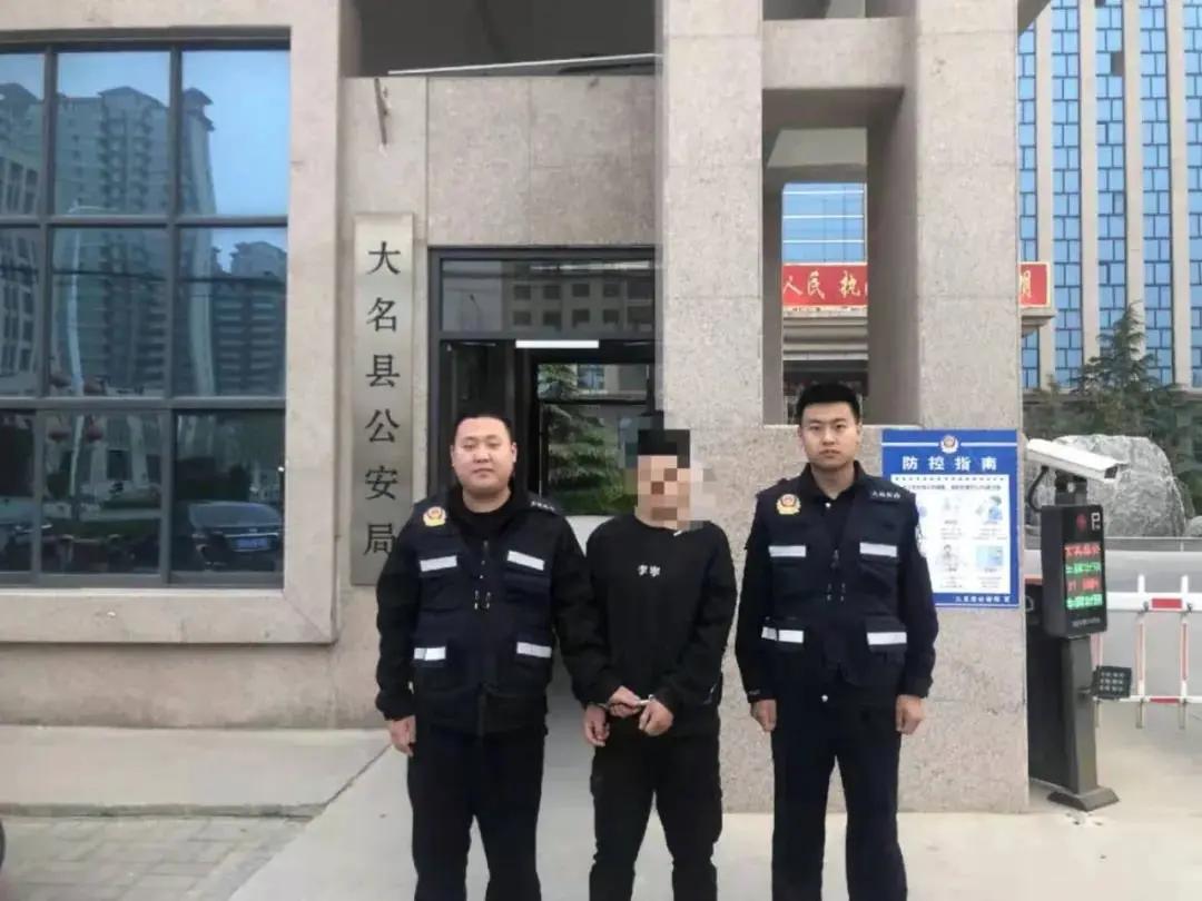 大名出租房屋最新動態(tài)，全面指南與最新消息