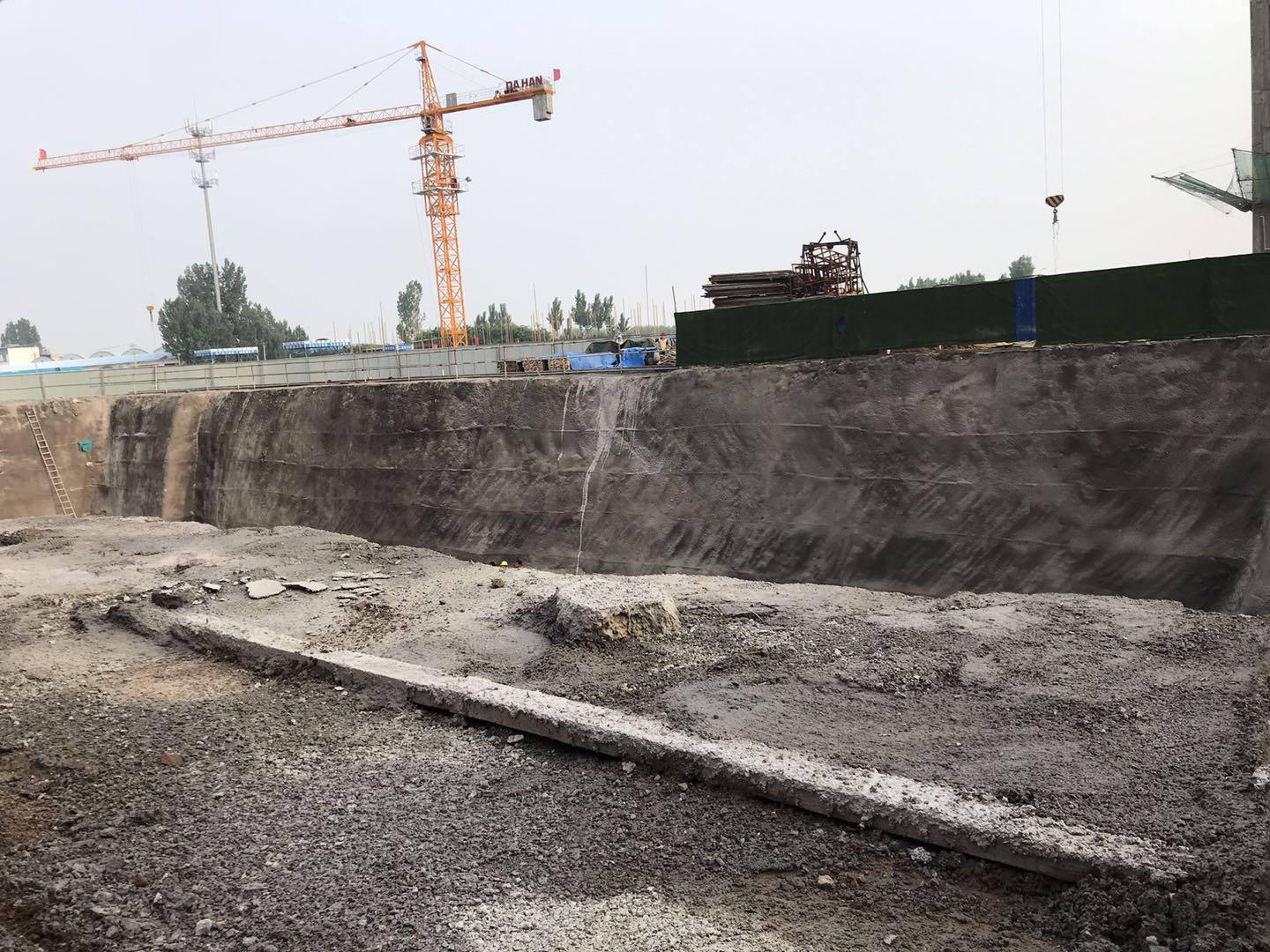 鵬洲麗城最新動(dòng)態(tài)揭秘，小巷中的隱藏瑰寶